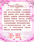 美容院海报