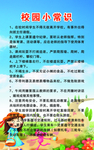 学校?板