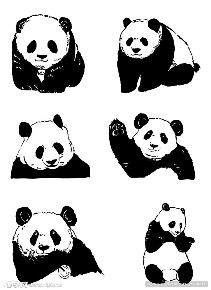 手绘国宝熊猫