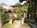 中式建筑