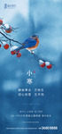 小寒海报