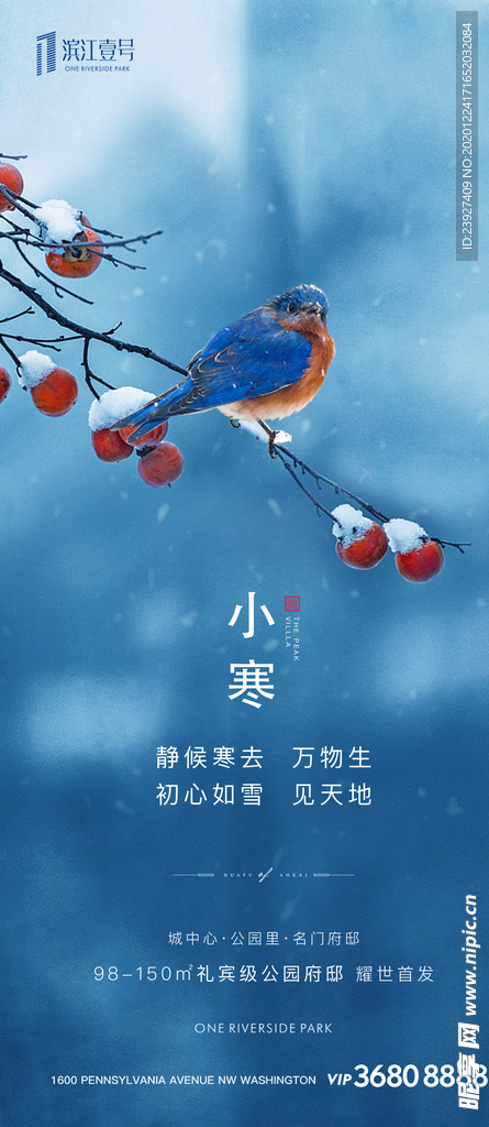 小寒海报
