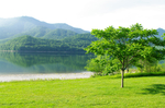 风景