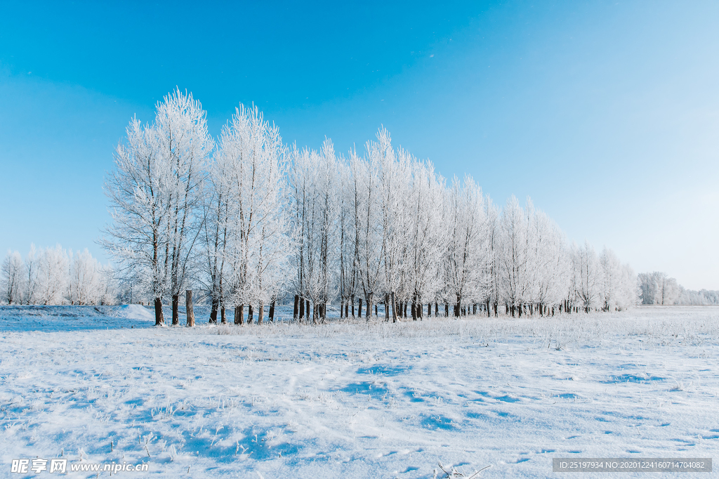 雪景