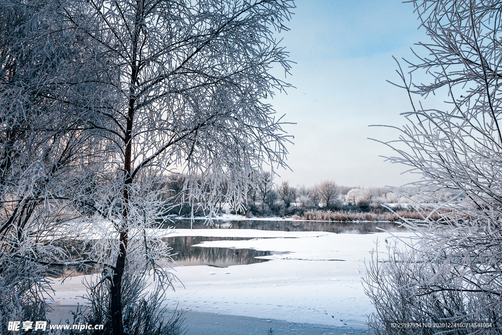 雪景