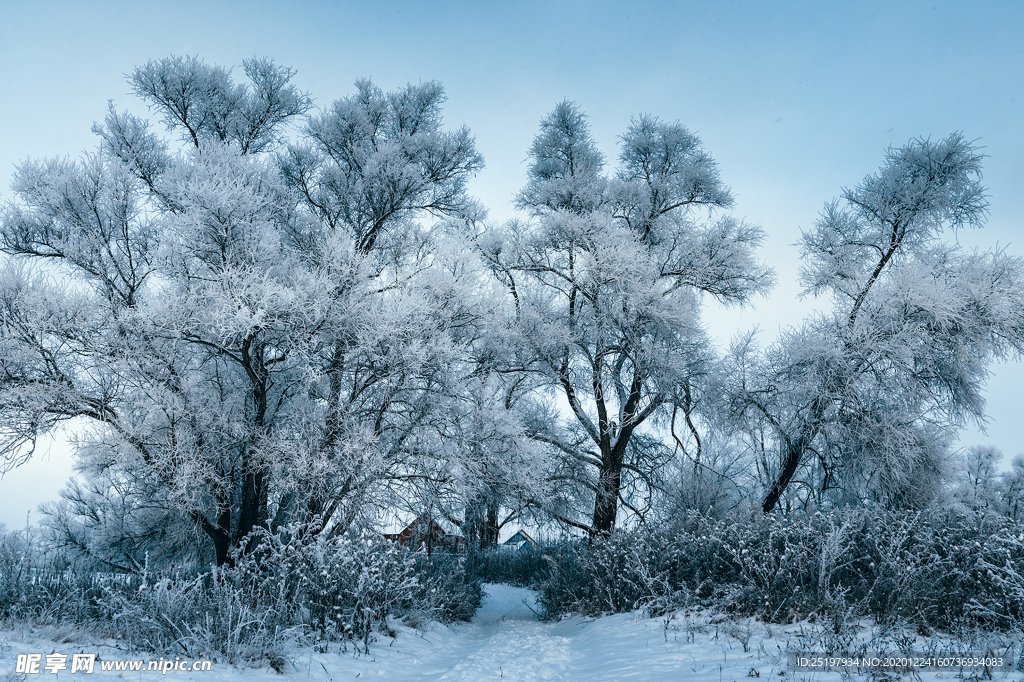 雪景