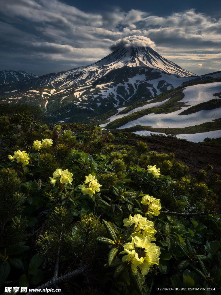 风景