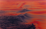 风景