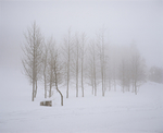 雪景