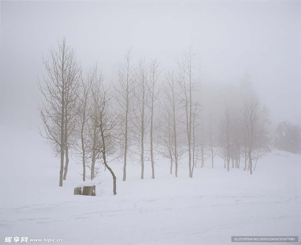 雪景