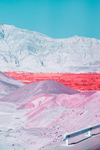 风景