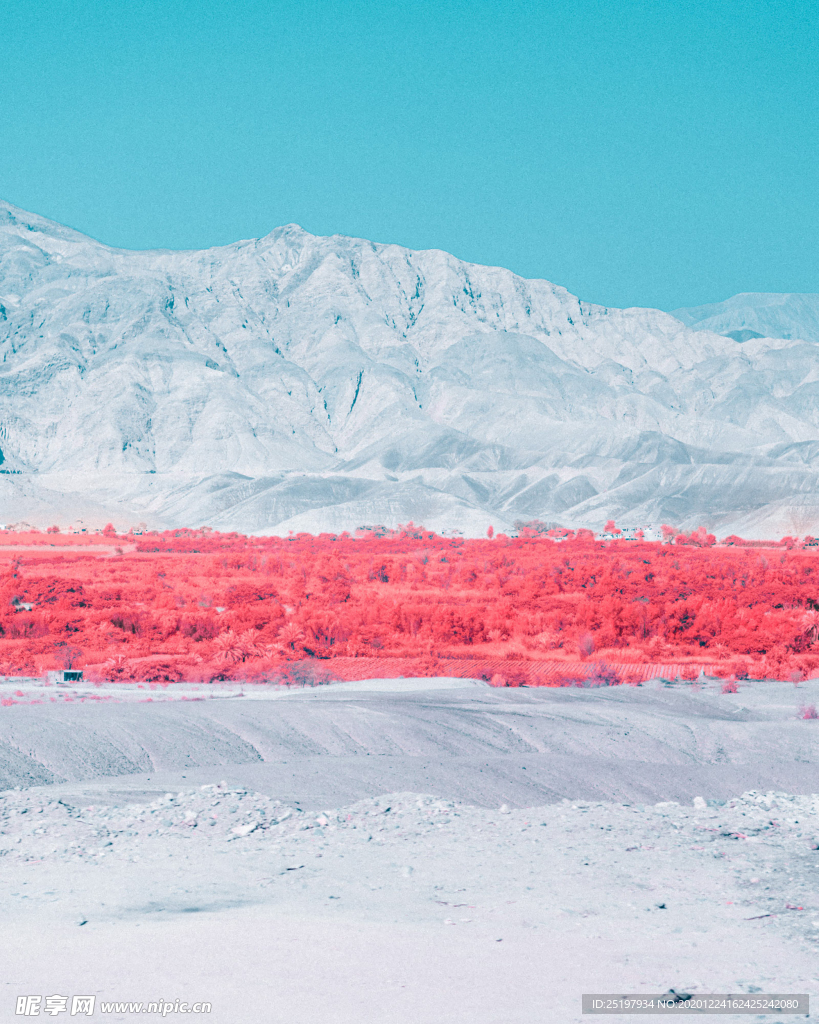 风景