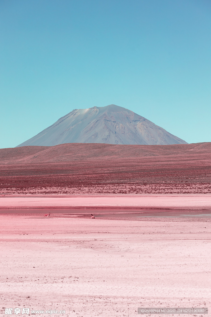 风景