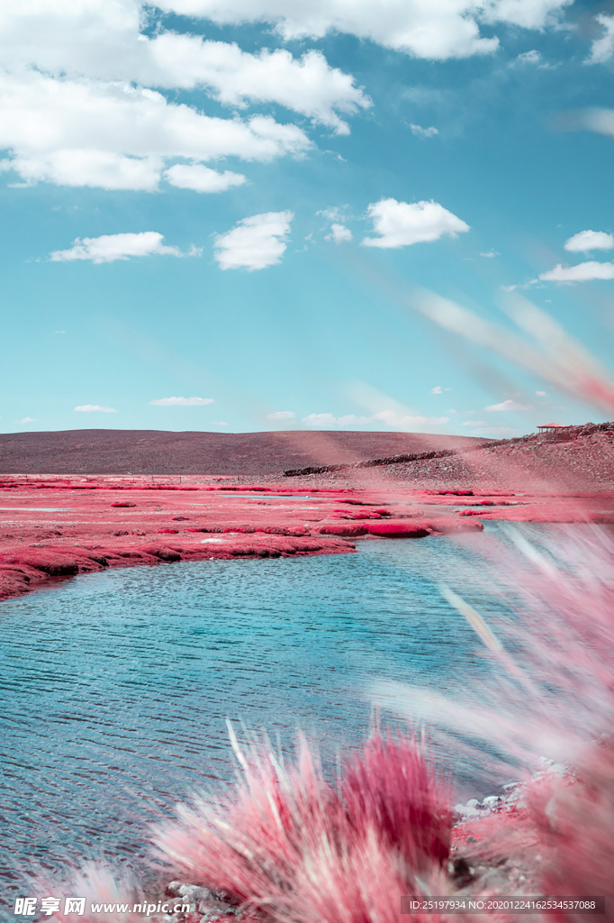 风景