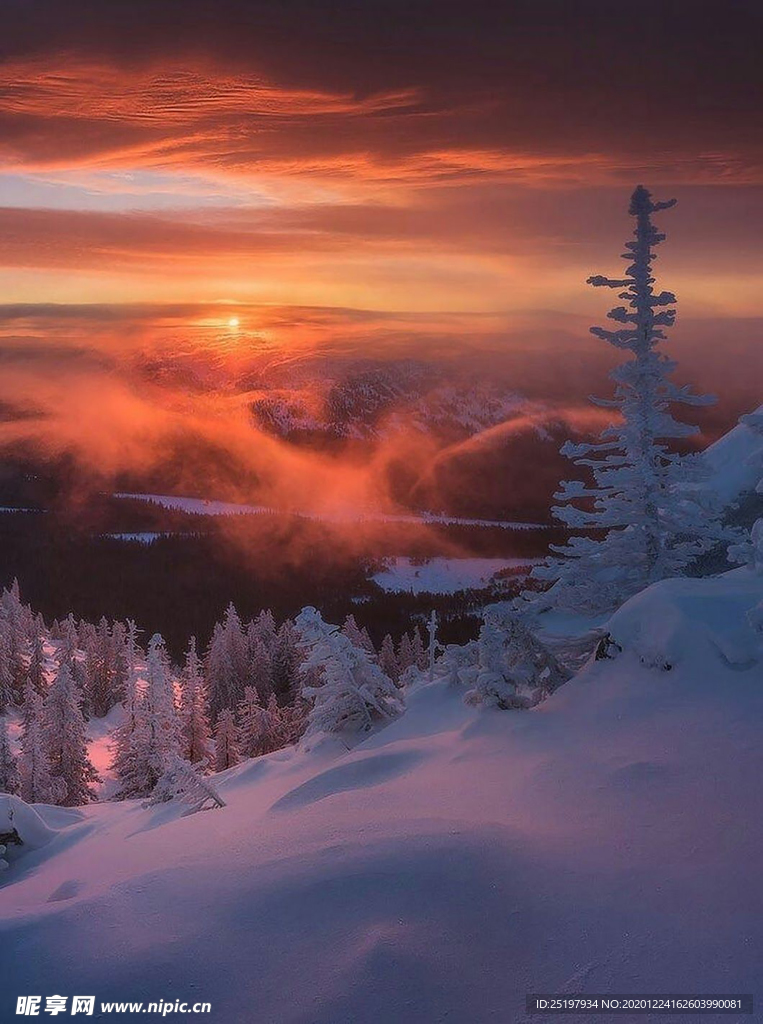 雪景