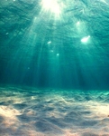 海水