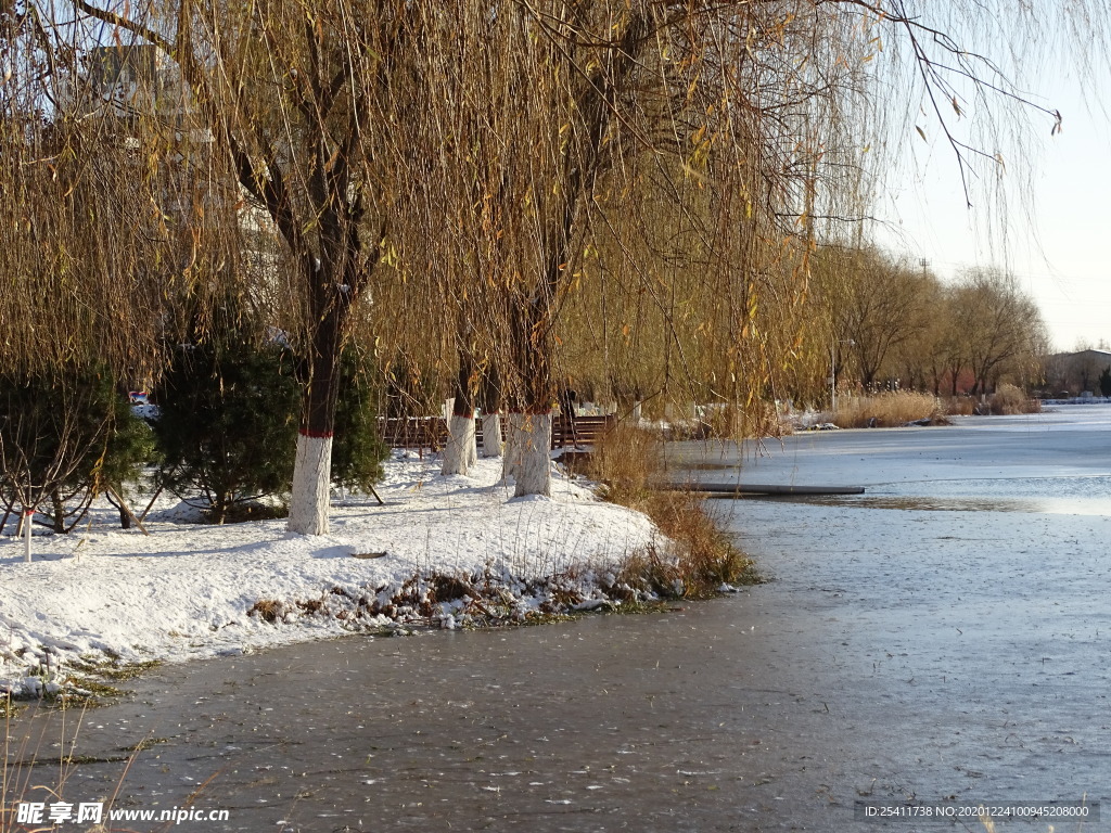 雪 绿柳 湖