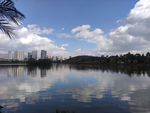 湖景城市