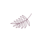 手绘花藤花纹