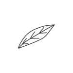 手绘花藤花纹