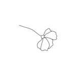 手绘花藤花纹