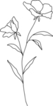 手绘花藤花纹