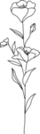 手绘花藤花纹