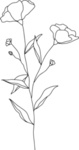 手绘花藤花纹