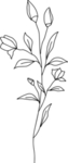 手绘花藤花纹