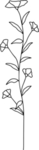 手绘花藤花纹