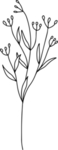 手绘花藤花纹