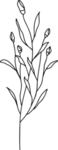 手绘花藤花纹