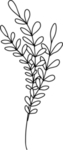 手绘花藤花纹