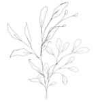 手绘花藤花纹