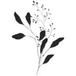 手绘花藤花纹