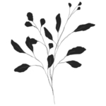 手绘花藤花纹