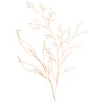 手绘花藤花纹