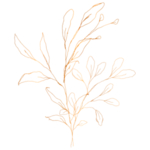 手绘花藤花纹