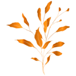手绘花藤花纹