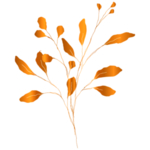 手绘花藤花纹