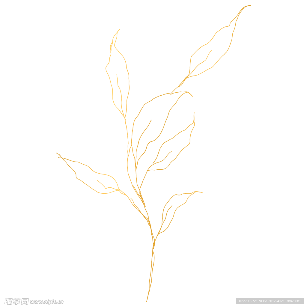 手绘花藤花纹