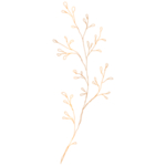 手绘花藤花纹