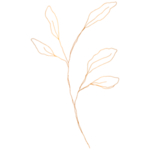 手绘花藤花纹