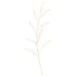 手绘花藤花纹