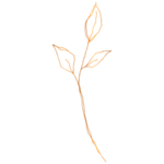 手绘花藤花纹