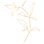 手绘花藤花纹