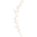 手绘花藤花纹