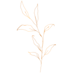 手绘花藤花纹