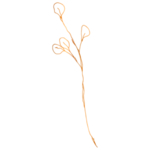 手绘花藤花纹