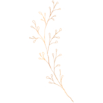 手绘花藤花纹